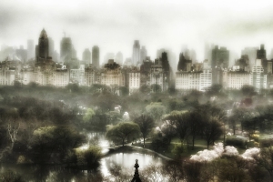 Fog Descending