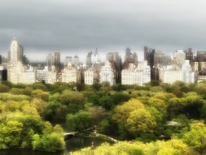 Gray Skies Green Leaves