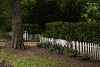 Picket Fence