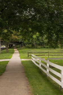 Walking to the Trestle