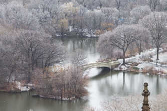 After the Snow Falls
