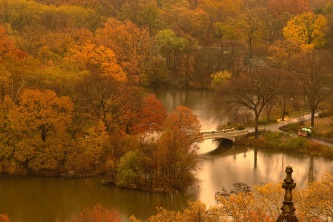 Autumn Bow Bridge